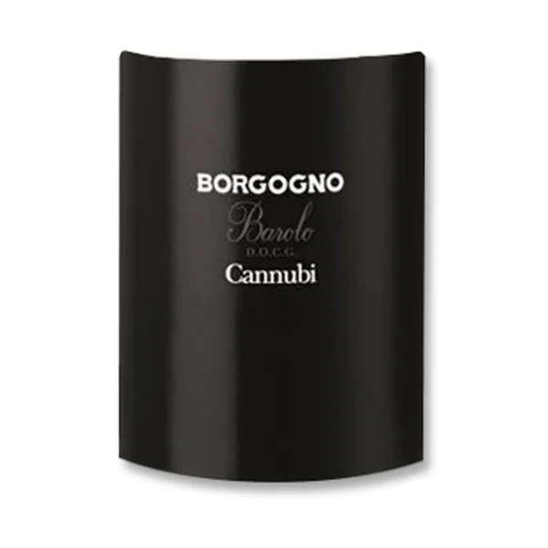 2010 Giacomo Borgogno e Figli Barolo Cannubi