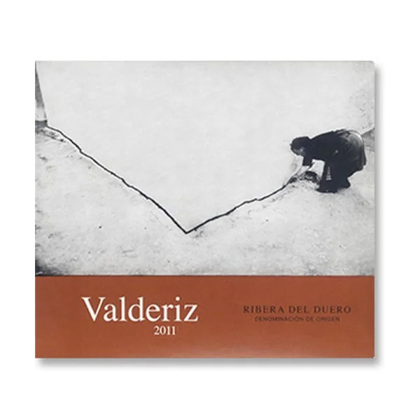 2011 Bodegas y Vinedos Valderiz Ribera del Duero