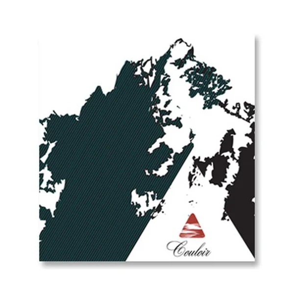 2013 Couloir Wines Chileno Valley Vineyard Pinot Noir Marin County