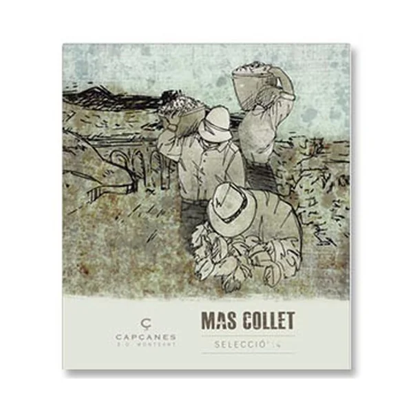 2015 Capcanes Mas Collet Montsant Spain