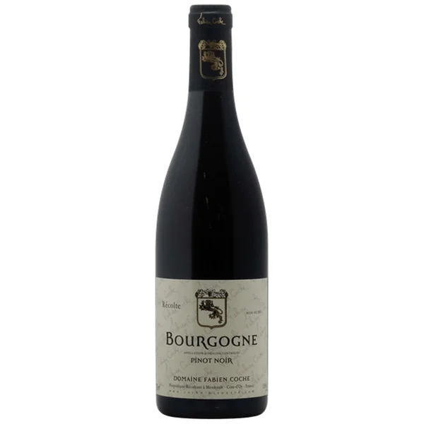 2017 Domaine Fabien Coche Pinot Noir Bourgogne Cote d'Or