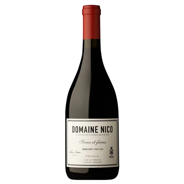 2017 Domaine Nico Soeur et Frères Pinot Noir Grand Mère Mendoza