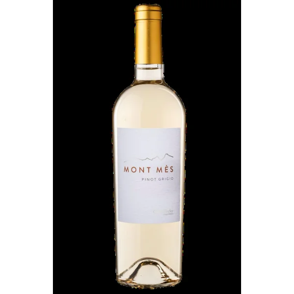 2020 Castelfeder Pinot Grigio Mont Mes Vigneti delle Dolomiti