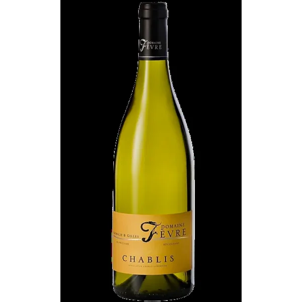 2022 Domaine Nathalie et Gilles Fevre Chablis