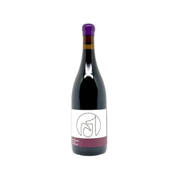 Birdhorse Wines Carignan 2022 750ml