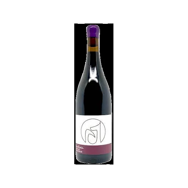 Birdhorse Wines Valdiguie 2022 750ml