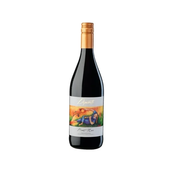 Dipinti Pinot Noir DOC 2023 750ml