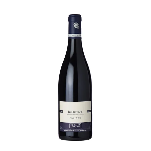 Domaine Anne Gros Bourgogne Pinot Noir 2021 750ml
