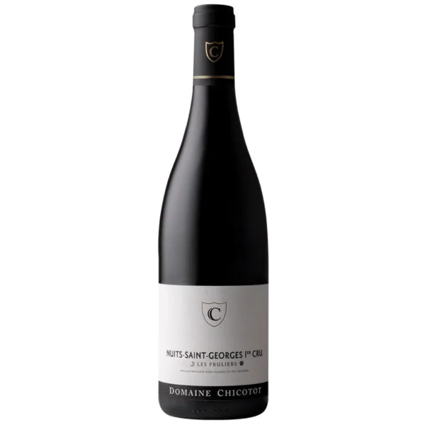 Domaine Georges Chicotot Nuits Saint Georges Premier Cru Les Pruliers 2020 750ml