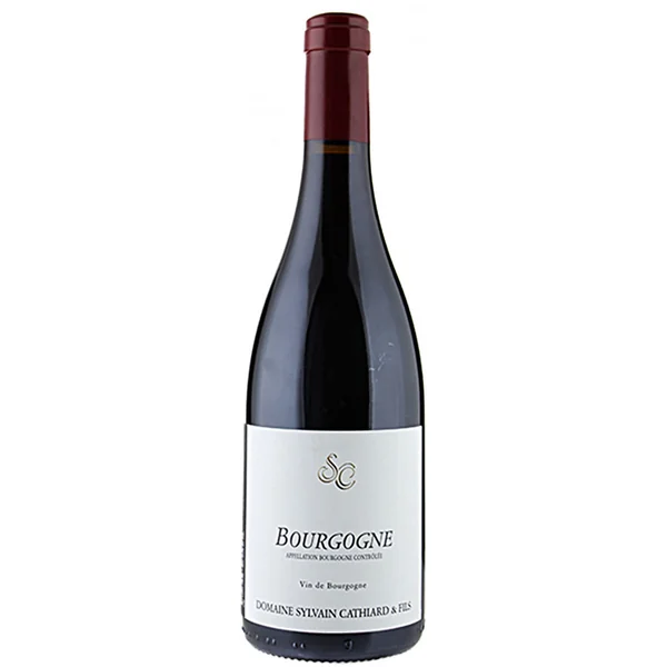 Domaine Sylvain Cathiard Bourgogne Rouge 2020 750ml