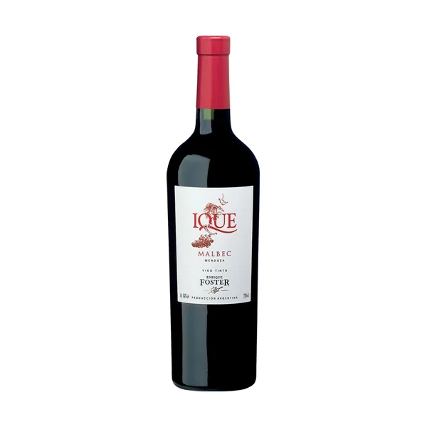 Enrique Foster Malbec Ique 2018 750ml