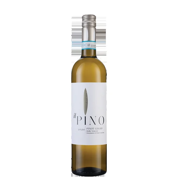 Il Pino Pinot Grigio 2024