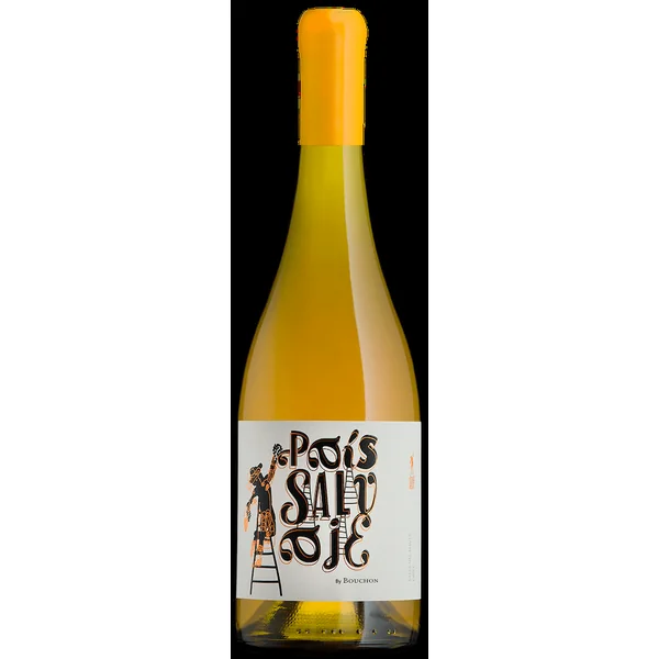 J. Bouchon Maule-Entre Cordillera Pais Salvaje Blanco 2023 750ml
