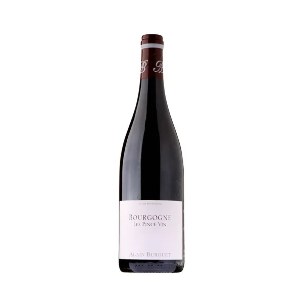 Jean-Luc & Eric Burguet Bourgogne Les Pince Vin 2022 750ml