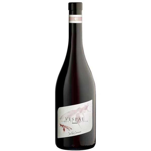 Jean-Rene Germanier Gamay de Bovernier VESPAE 2022 750ml