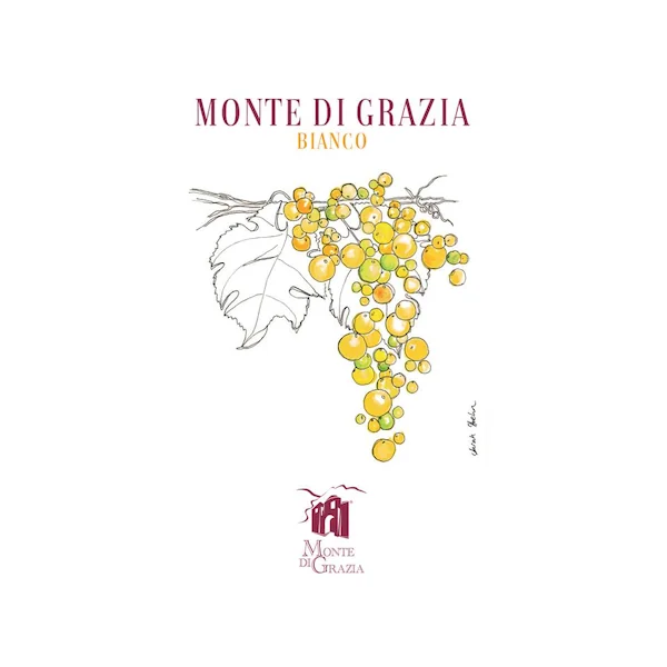 Monte di Grazia Bianco 2022 750ml