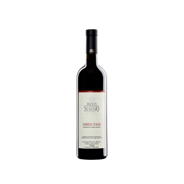 Paolo Scavino Barbera d'Alba 2024 750ml