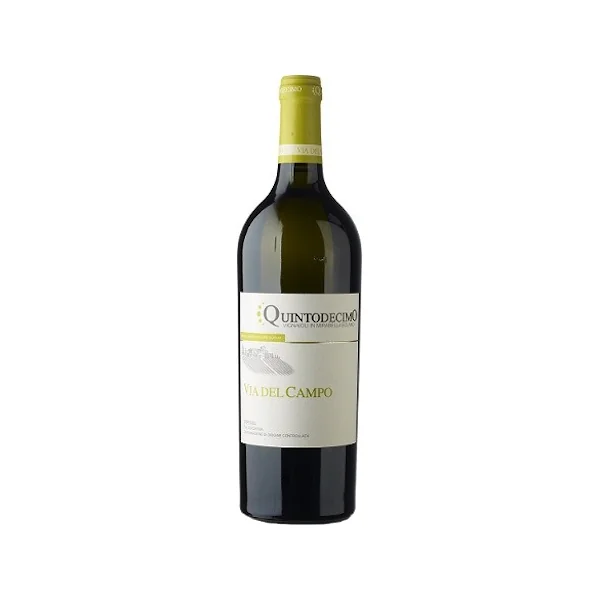 Quintodecimo Falanghina Via del Campo 2024 750ml