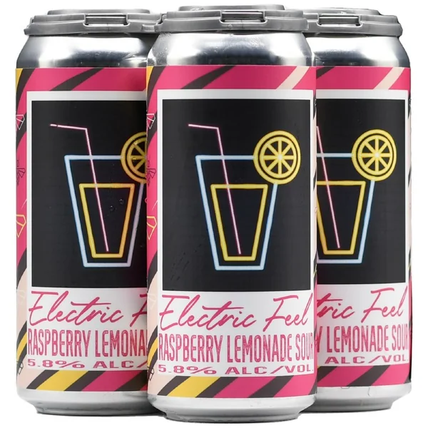Social Project Electric Feel Sour Ale 4pk 16oz Can