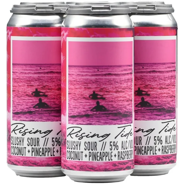 Social Project Rising Tide Slushy Sour Ale 4pk 16oz Can