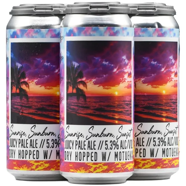 Social Project Sunrise Sunburn Sunset Pale Ale 4pk 16oz Can