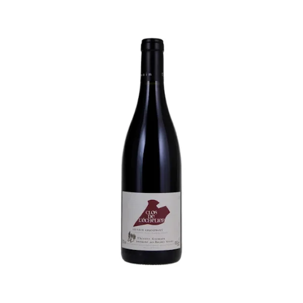 Thierry Germain (Roches Neuves) Saumur Champigny Clos de L'echelier 2021 750ml